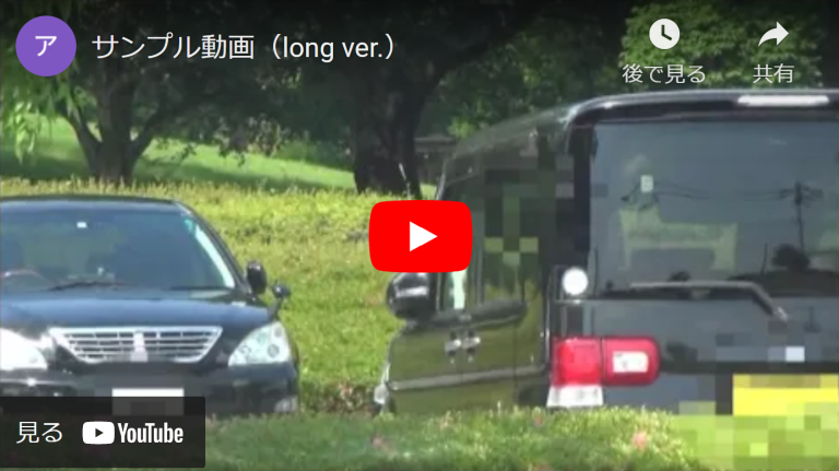 浮気調査撮影動画（アイビー探偵）