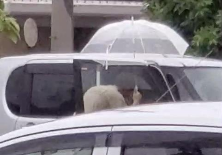 浮気相手とA子は別れ際に何度もキスをする